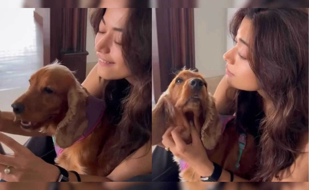 Rashmikaની આંગળીમાં દેખાતી એન્ગેજમેન્ટ રિંગે મચાવી ધમાલ