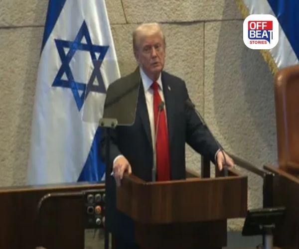 'મારા પ્રિય, મારા મિત્ર'