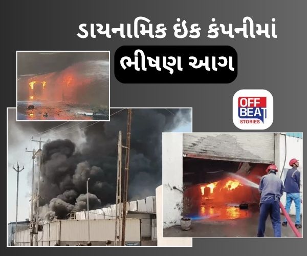 વાઘોડિયા GIDCમાં ઇંક કંપનીમાં ભીષણ આગ