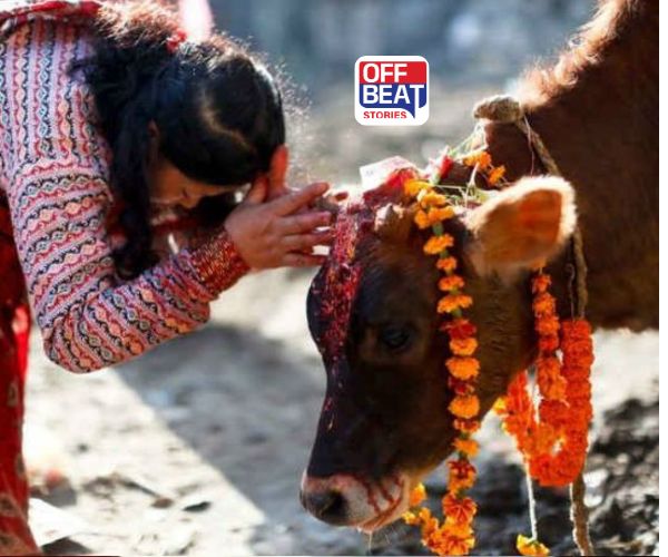 આજે વાઘબારસનો પવિત્ર તહેવાર