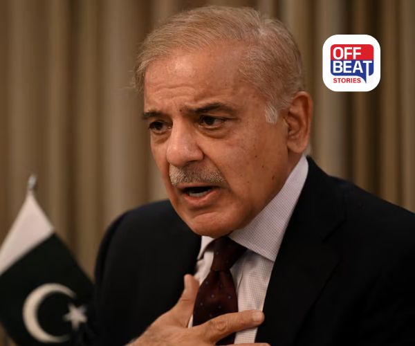 "પાક. પર અફઘાનિસ્તાનના હુમલા પાછળ ભારત..."