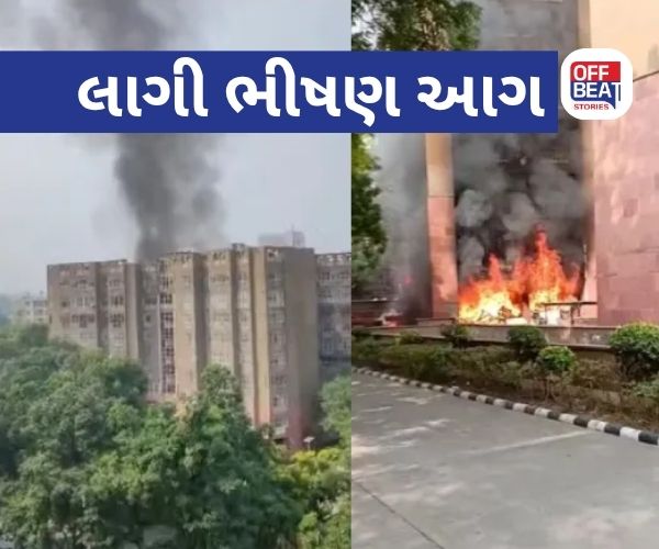 દિલ્હીના બ્રહ્મપુત્ર એપાર્ટમેન્ટમાં ભીષણ આગ