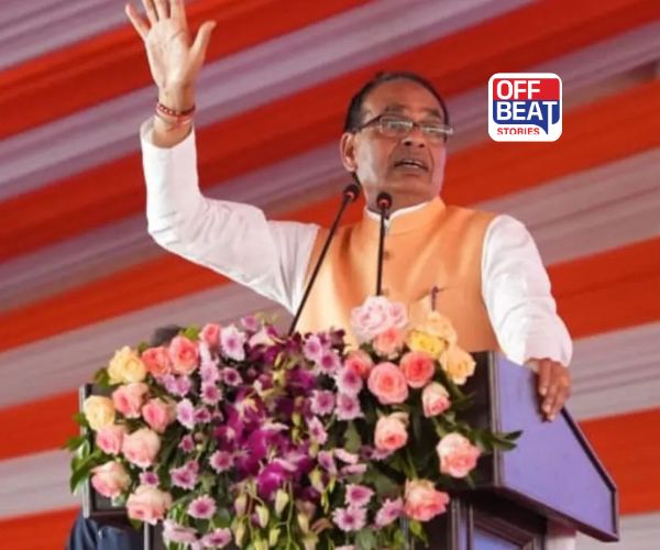 'નકલી... નકલી...',નકલી બિયારણ ખોરો સામે હવે ગાળિયો કસાશે!