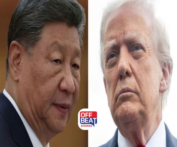 5 વર્ષ અને 3 લાખ લોકોના મૃત્યુ