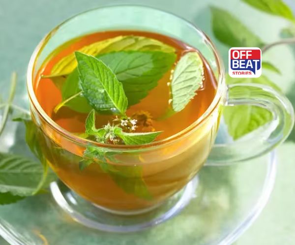 ફુદીનાની ચા પીવાના અદ્ભુત ફાયદા