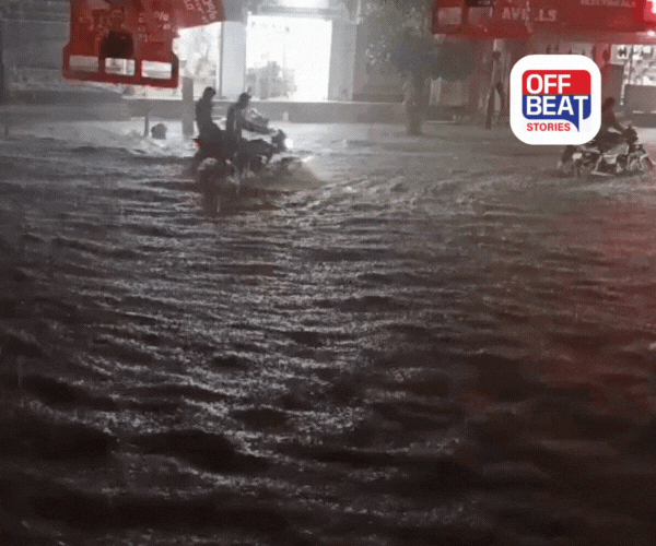 સૌરાષ્ટ્રમાં મેઘો મુશળધાર!