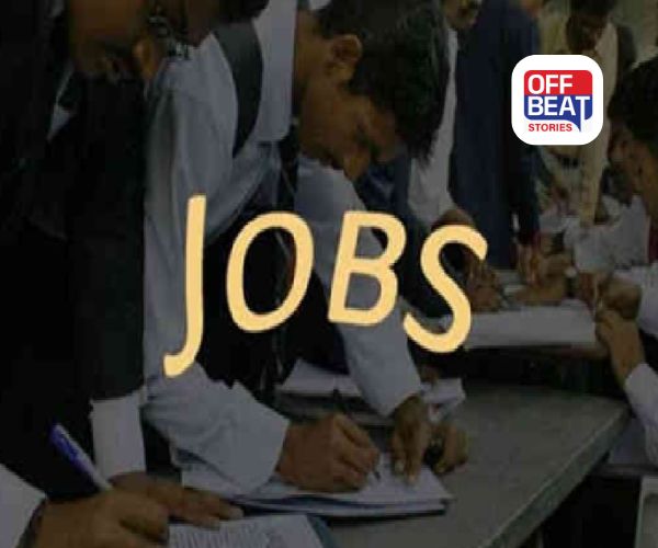 વર્ષના અંત પહેલા સરકારી નોકરી મેળવવાની સુવર્ણ તક