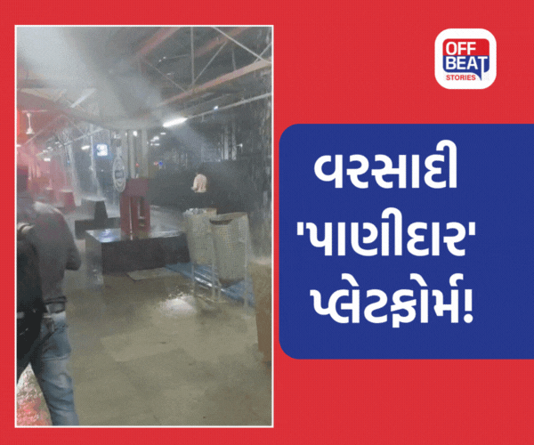 નવસારીમાં ધમધોકાર વરસાદ