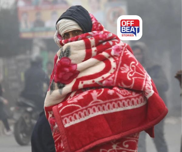 શું તમને બીજા કરતા વધુ ઠંડી લાગે છે?