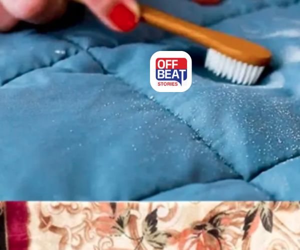 શું તમે શિયાળામાં જાડા ધાબળા ધોવાથી પરેશાન છો?