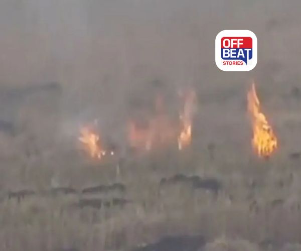 પંજાબમાં પરાળી બાળવાના કેસમાં તીવ્ર ઉછાળો