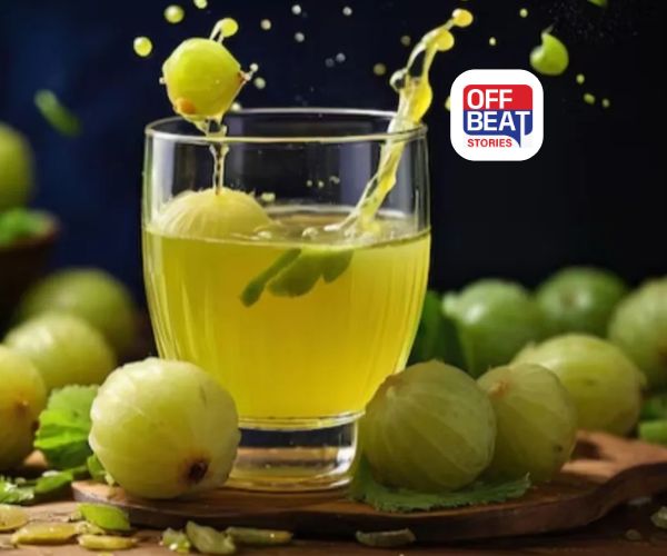 શિયાળામાં કેમ પીવો જોઈએ આમળાનો રસ?