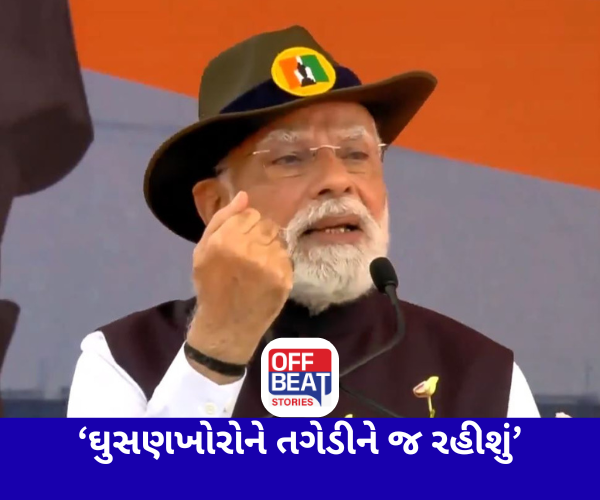 ભારતમાં રહેતા તમામ ઘુસણખોરોને તગેડીને જ રહીશું