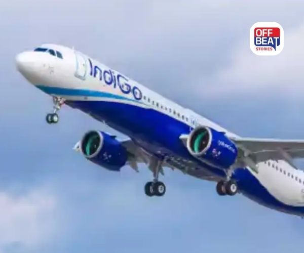 IndiGo flight ને બોમ્બથી ઉડાવવાની ધમકી
