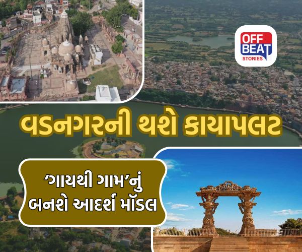 વડનગરમાં દેશના પ્રથમ ભવ્ય વૃંદાવન ગૌચર પાર્કના નિર્માણની તૈયારી