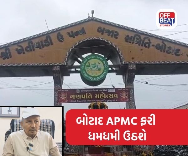 બોટાદ APMCમાં 4 નવેમ્બરથી હરાજી શરૂ થશે