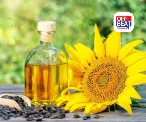 રશિયા બન્યું ભારતનું  નંબર-1 સૂર્યમુખી તેલ સપ્લાયર