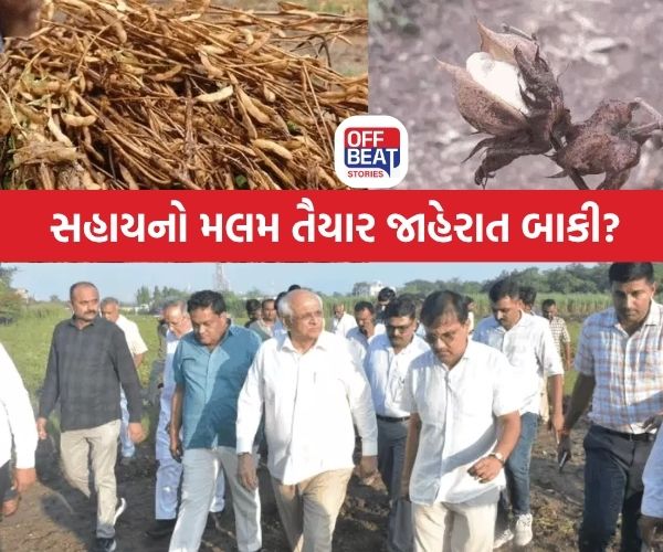 7,000 કરોડનું રાહત પેકેજ ખેડૂતો માટે જાહેર થઈ શકે!