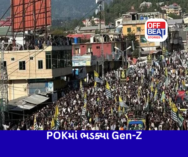 POKમાં શહબાઝ સરકાર સામે વિરોધ