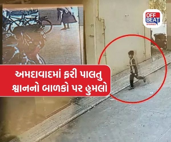 અમદાવાદમાં પાલતું જર્મન શેફર્ડ કુતરાએ બે બાળકો પર હુમલો કર્યો