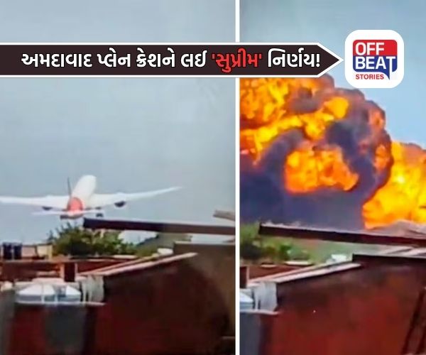 "Air India Plane Crash માં પાઇલટની ભૂલ નહોતી"