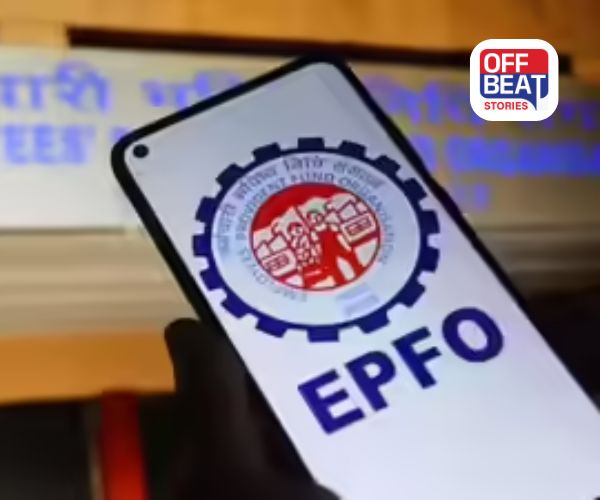 નોકરી બદલતાની સાથે જ PF ના પૈસા નવા ખાતામાં ટ્રાન્સફર!
