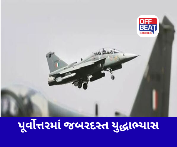 આકાશમાં ગર્જના કરશે રાફેલ અને તેજસ