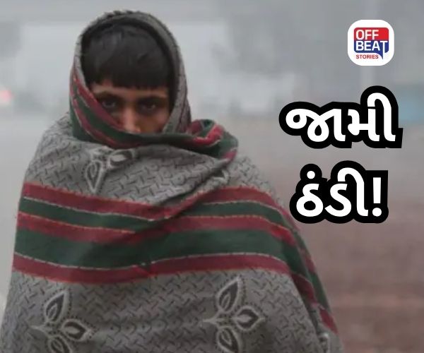 ગુજરાતમાં ઠંડીનો ચમકારો