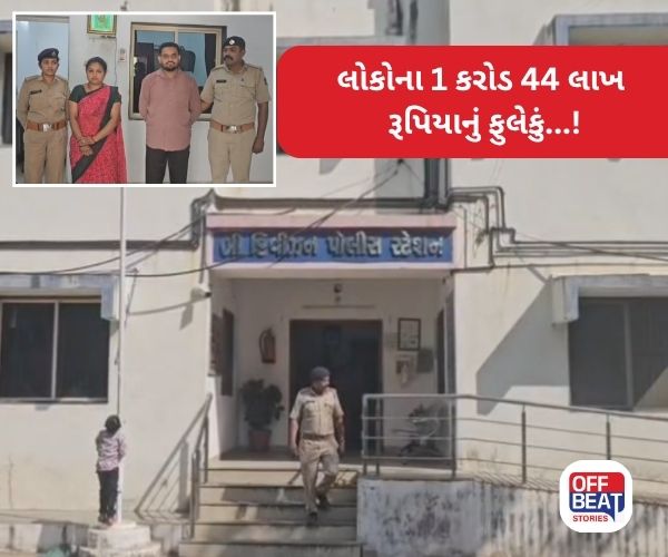 હિંમતનગરમાં 'ધ બીગબુલ'એ લોકોના 1 કરોડ 44 લાખ પડાવ્યા!