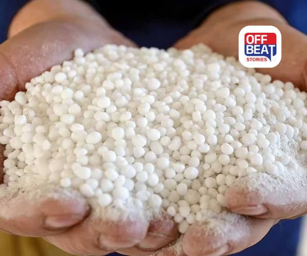 ફરીદાબાદમાં પકડાયો તે RDX નથી!