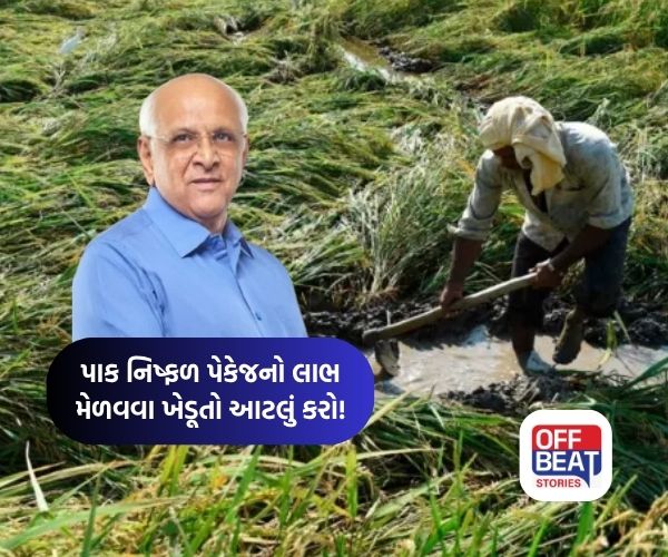 હેક્ટર દીઠ 22000ની સહાય માટે આજથી ખેડૂતો અરજી કરી શકશે
