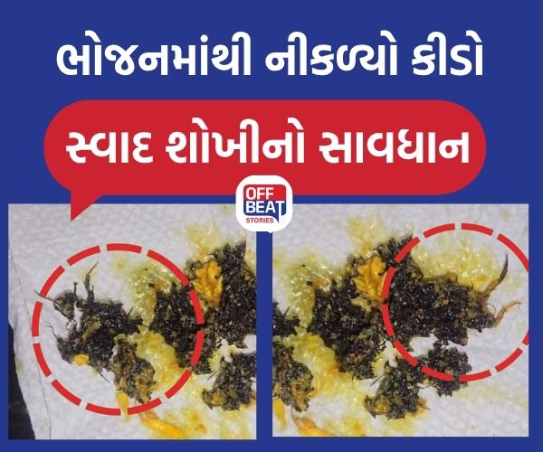 વલસાડના ગુંદલાવ હોટલના ભોજનમાંથી નીકળ્યું જીવાત