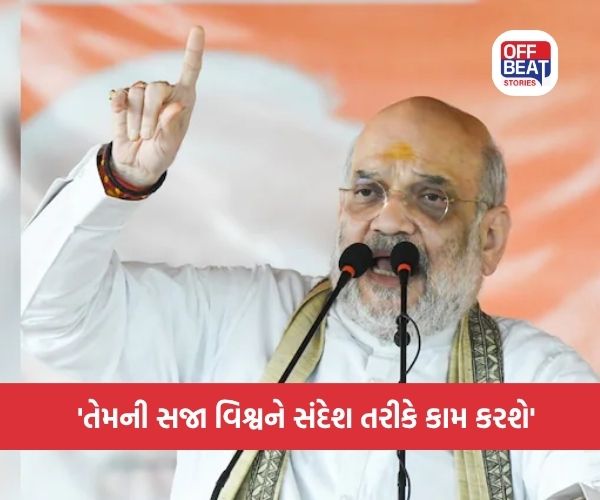 'ગુનેગારોને પાતાળમાંથી પણ શોધી લાવીશું...'