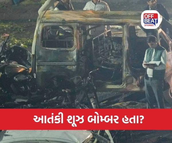 દિલ્હીના આતંકવાદીઓને 20 લાખ રૂપિયા મળ્યા હતા