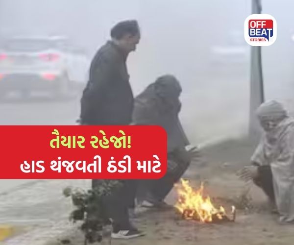 ગુજરાતમાં કડકડતી ઠંડી પડવાની શરૂઆત