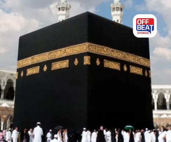 Saudia Arabia Bus Accident અંગે મોટું અપડેટ