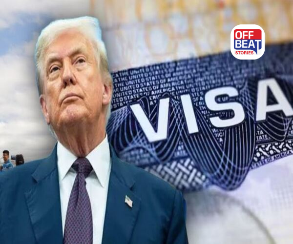 વીઝાના કડક નિયમો ટ્રમ્પને જ ભારે પડ્યાં