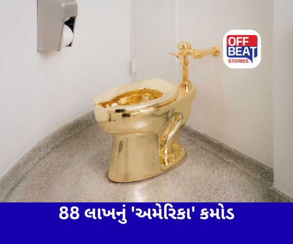 88 કરોડ રૂપિયાનો સોનાનો કમોડ: નામ એવું સાંભળીને ચોંકી જશો
