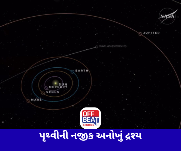 શું આ એલિયન છે?