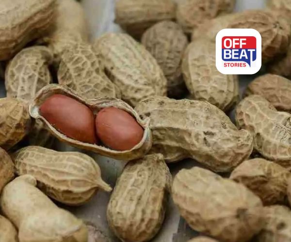 ગુજરાતમાં MSPનો મોટો દબદબો