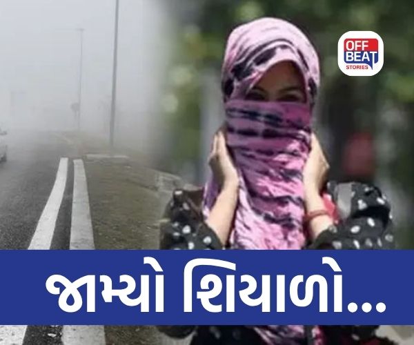 કચ્છના નલિયા ઠંડુગાર