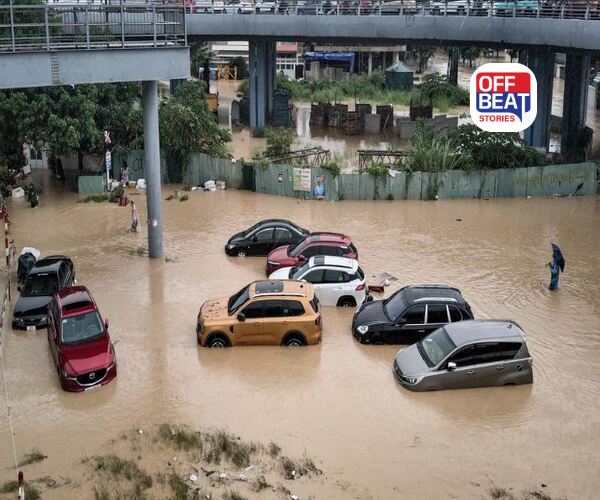 30 લાખ પશુઓ વહી ગયા, 2 લાખ ઘર તબાહ