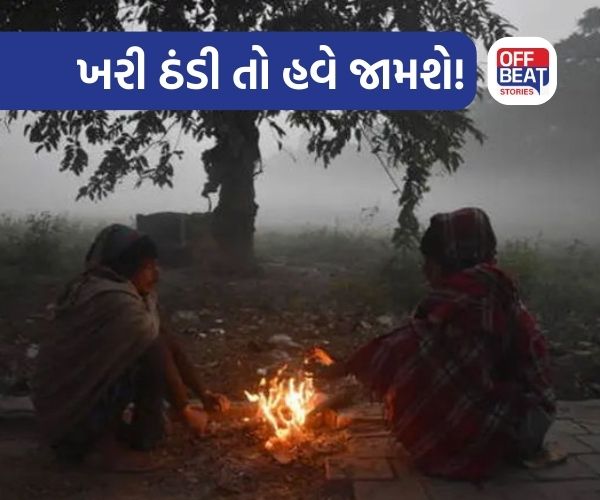 ઠંડી જામશે, શિયાળો ખીલશે!
