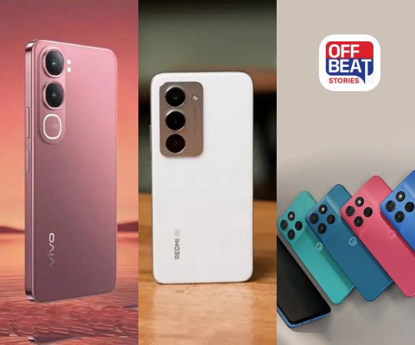 Moto/Vivo/Redmi ના 15 હજારથી ઓછી કિંમતમાં કયો શ્રેષ્ઠ છે?