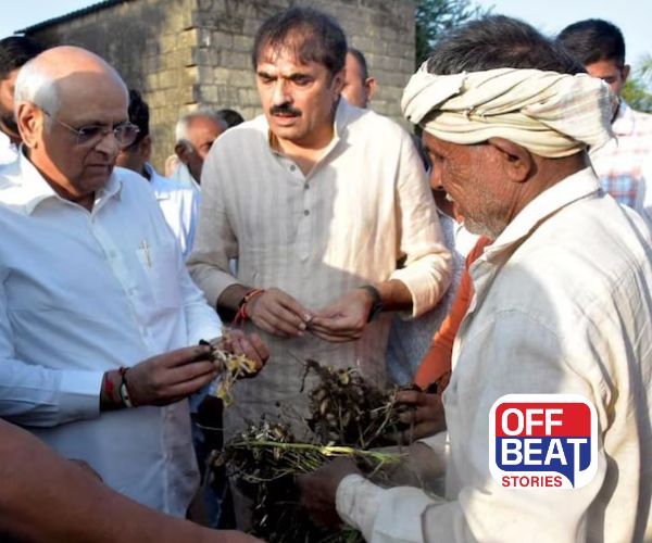 ગુજરાતમાં કમોસમી વરસાદ પછી ખેડૂતોને મોટી રાહત