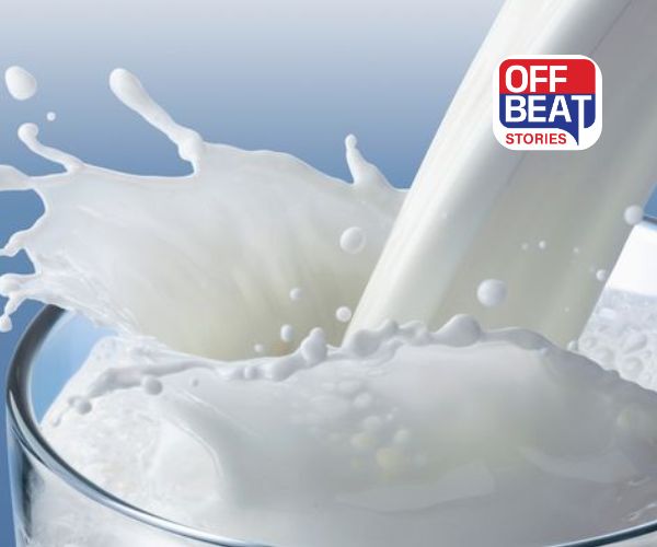 National Milk Day 2025