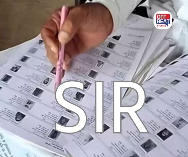 ગુજરાતભરમાં SIRની પુરજોર કામગીરી