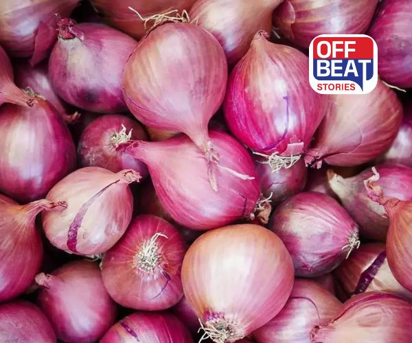 ખેડૂતો માટે ડુંગળી વરદાન કરતાં વધુ અભિશાપ સાબિત થઈ શકે છે