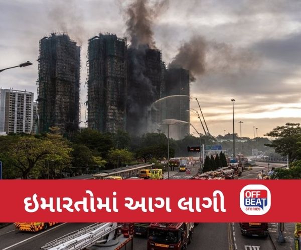 સૂકા પાંદડાની જેમ રહેણાંક ઇમારતો બળી ગઈ