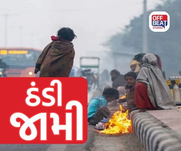 ગુજરાતમાં ઠંડીનો ચમકારો